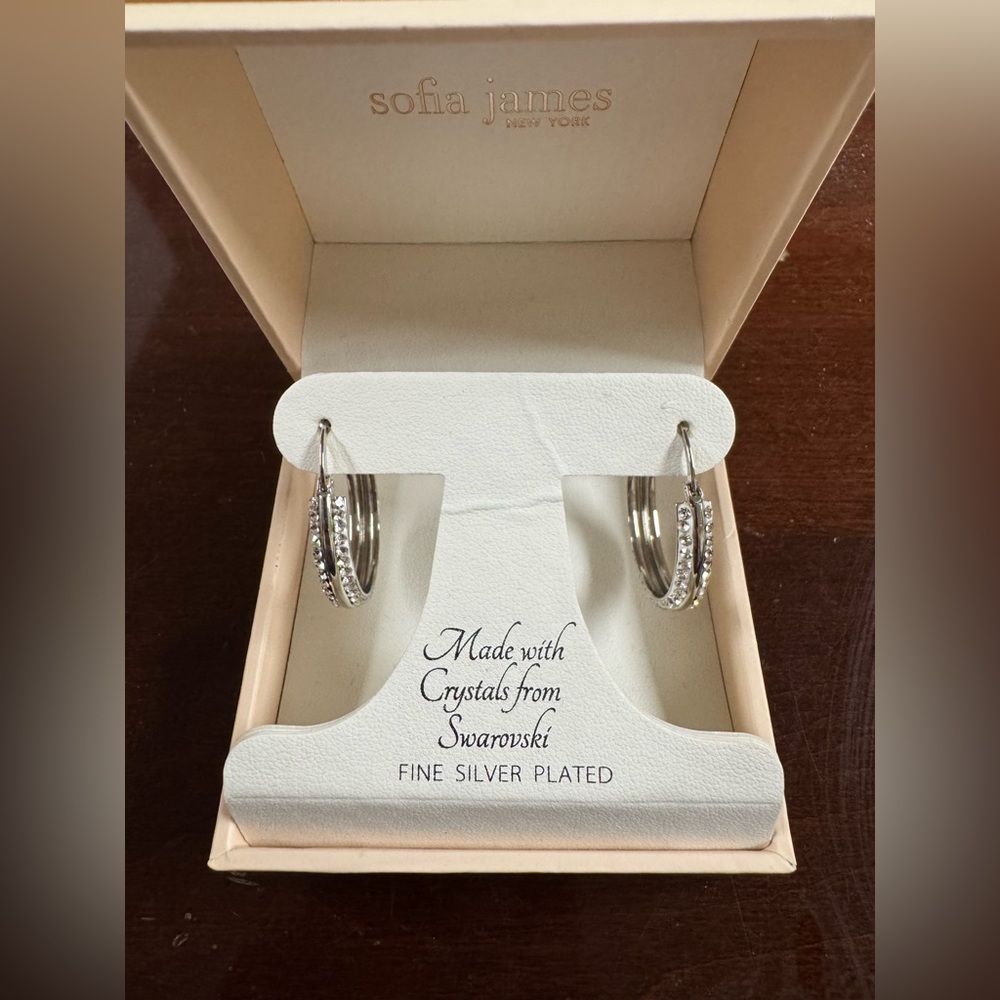 Silver Hoop Earrings with Crystals